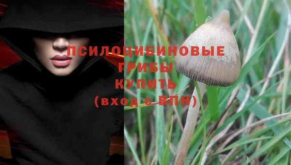 меф Армянск