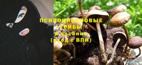 меф Армянск