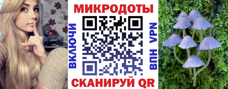 Псилоцибиновые грибы прущие грибы закладка Межгорье